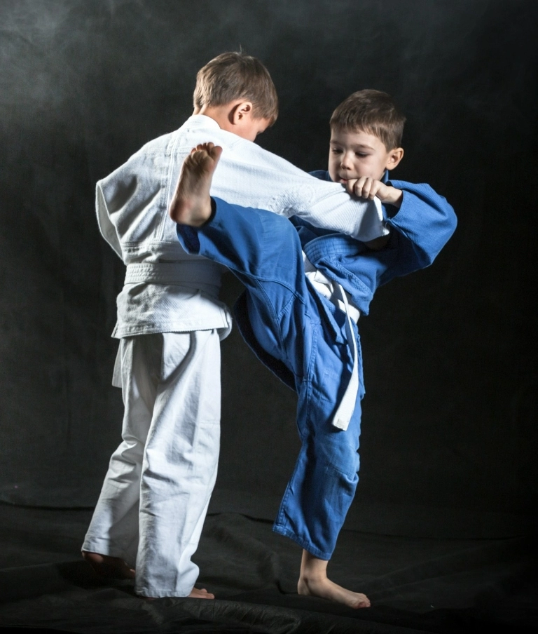 judo